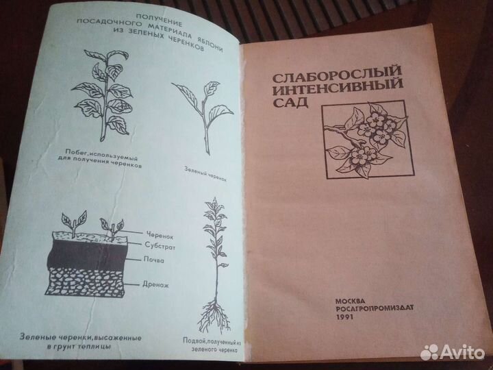 Книга