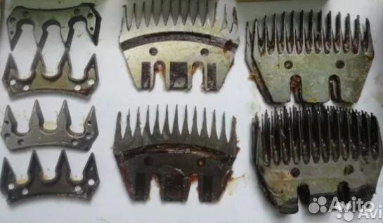 Стригущая (ножи для стрижки овец)