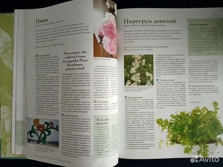 Книга о травах новая