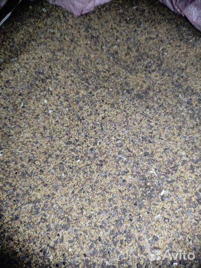 Продаю семена люцерны. Протравитель табу,оплот