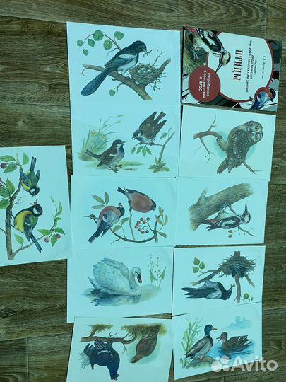 Методическое пособие