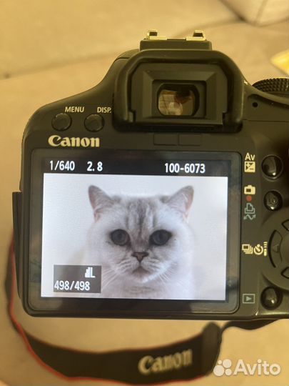 Зеркальный фотоаппарат canon 500d