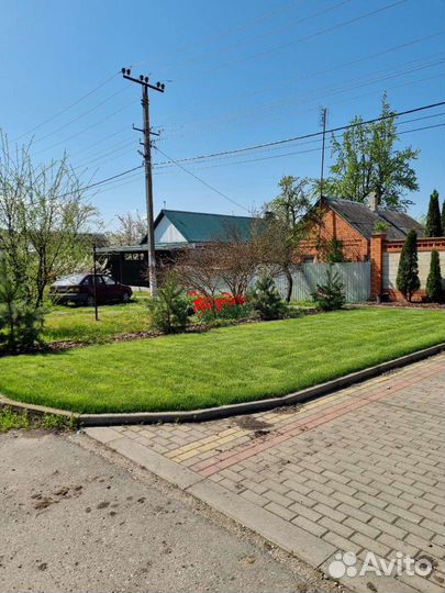 Газонная трава в рулонах и посевной