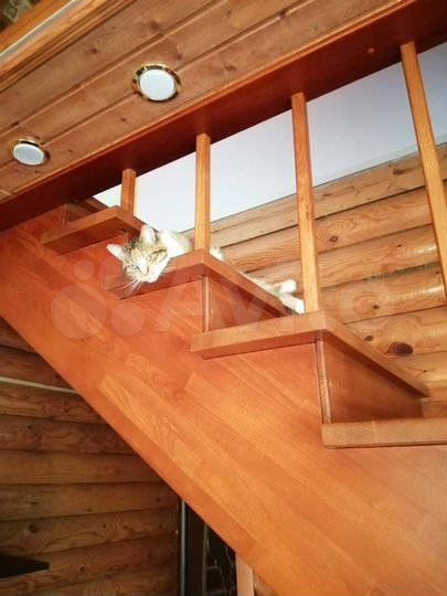 Коттедж 128 м² на участке 7 сот.