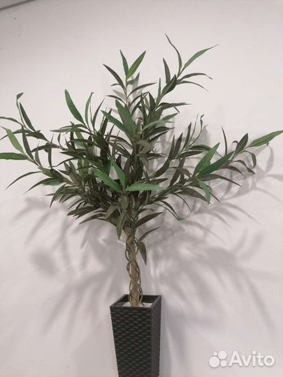 Искусственные деревья/ Эвкалипт