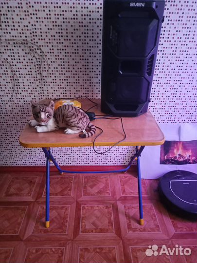 Детский стол