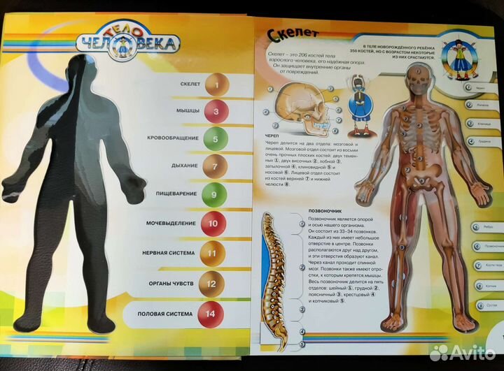 Детская энциклопедия 