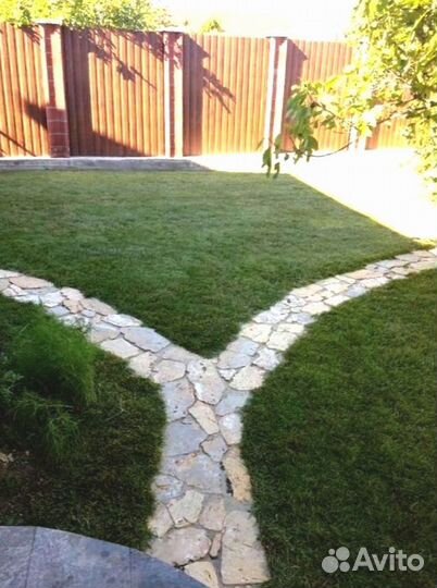 Рулонный газон 