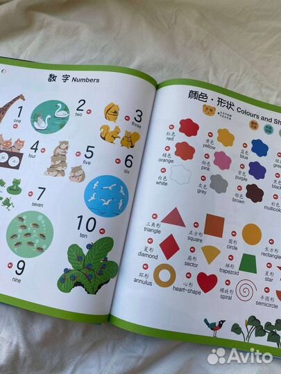 Говорящая китайско-английская энциклопедия