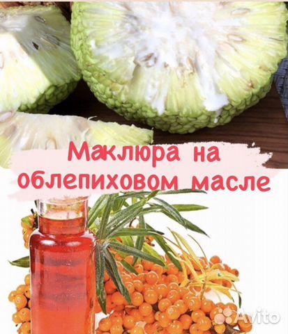 Маклюра на облепиховом масле