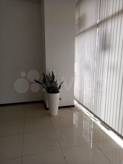 Продуктовый пивной, алкогольный медицина, 59.7 м²