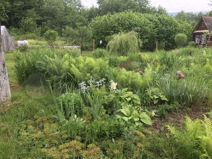 Участок 32 сот. (ИЖС)