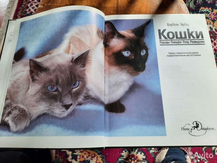 Книга о кошках