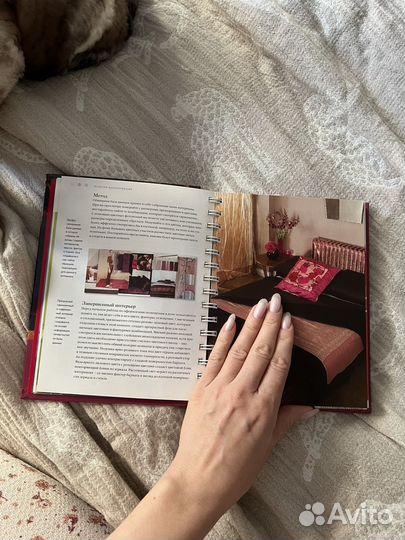 Книга Цвет энциклопедия Анна Страмер