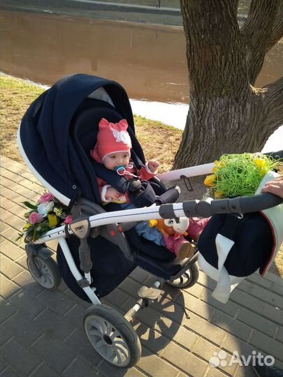 Коляска anex sport 2 в 1