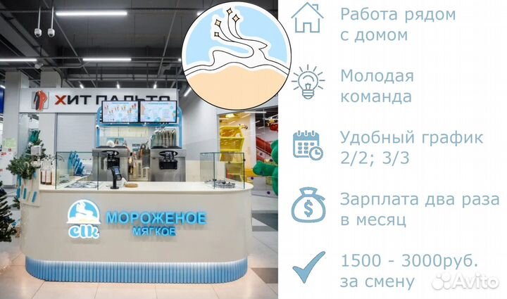 Бариста-Айс. Продажа мягкого мороженого