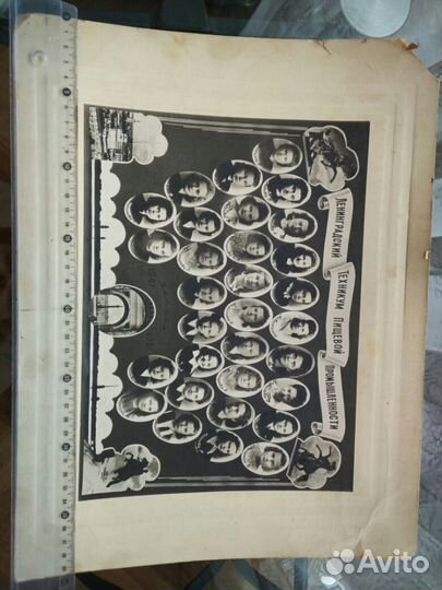 Фотография выпуск 1947-51 торг