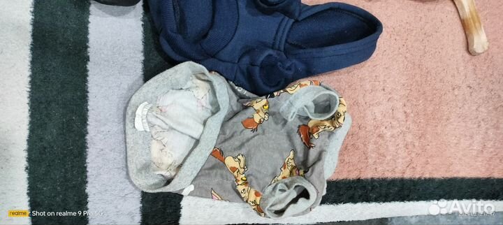 Зимний комбинезон для Чихуахуа