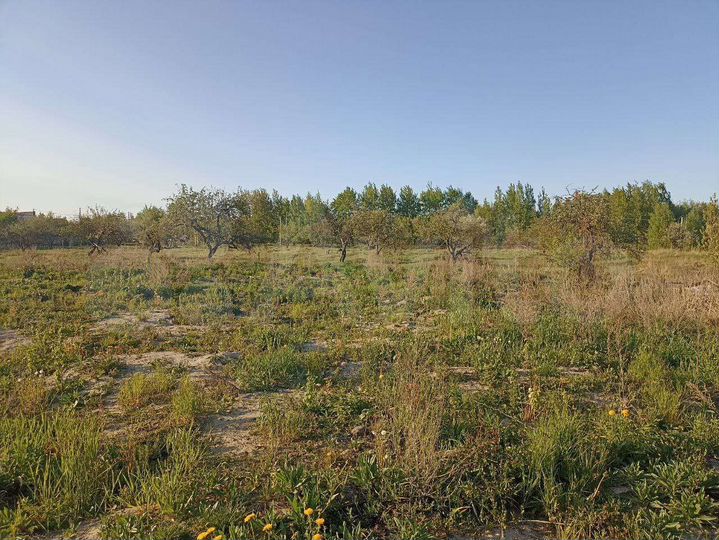 Участок 7 сот. (ИЖС)