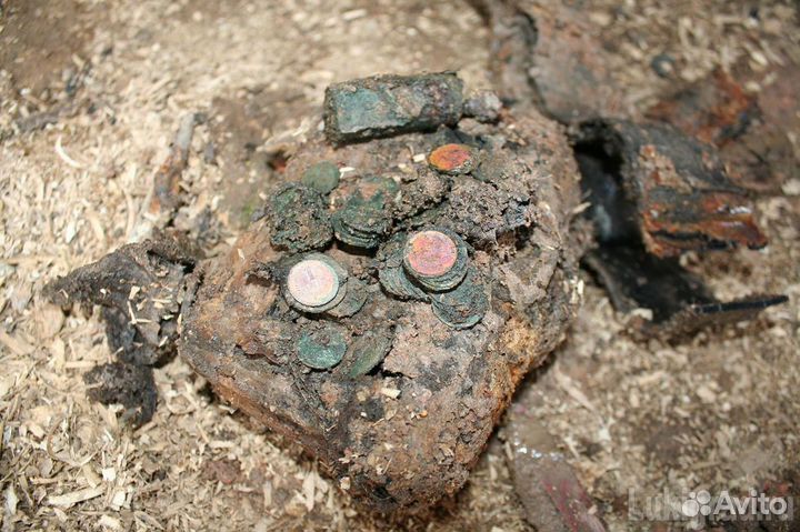 Металлоискатель XP deus Катушка 28X35 WS5 в Твери