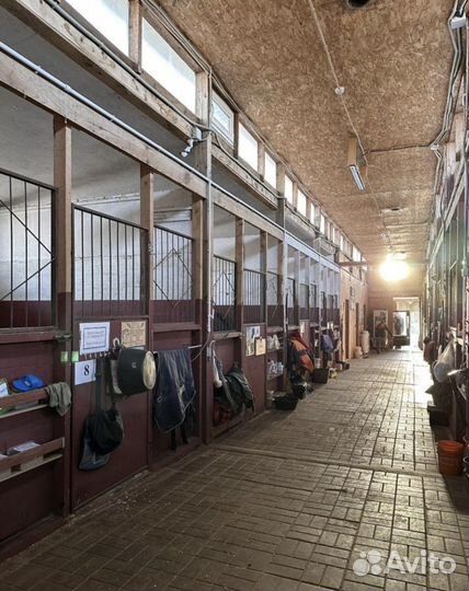 Уход за животными