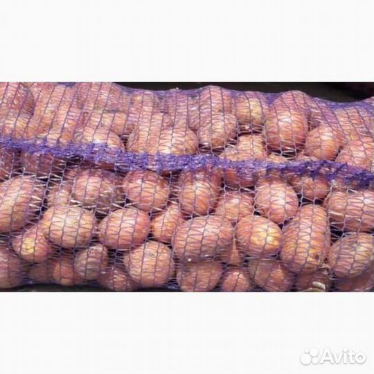 Продам картофель