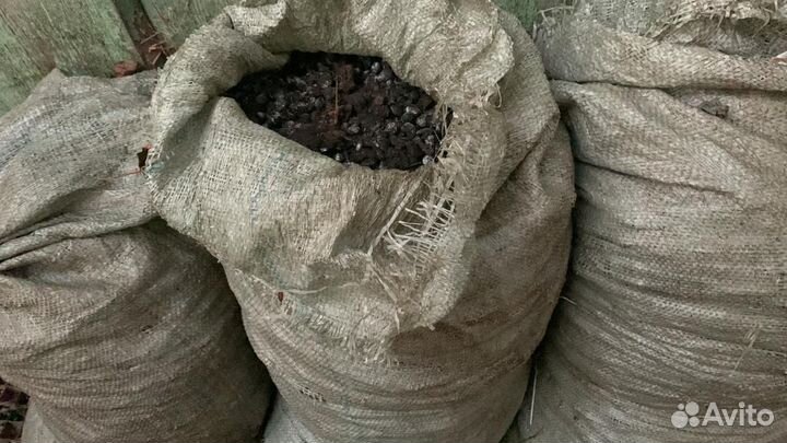 Козий навоз