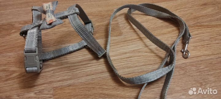 Шлейка с поводком