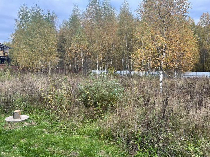 Участок 17,3 сот. (СНТ, ДНП)