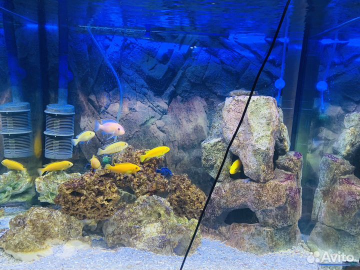 Аквариум Juwel lido 200 Led