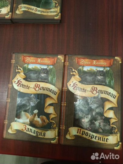 Книги коты воители