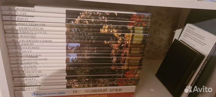 Коллекция книг живопись