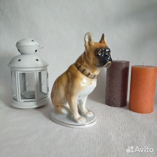 Фарфоровая статуэтка собака лфз Боксер