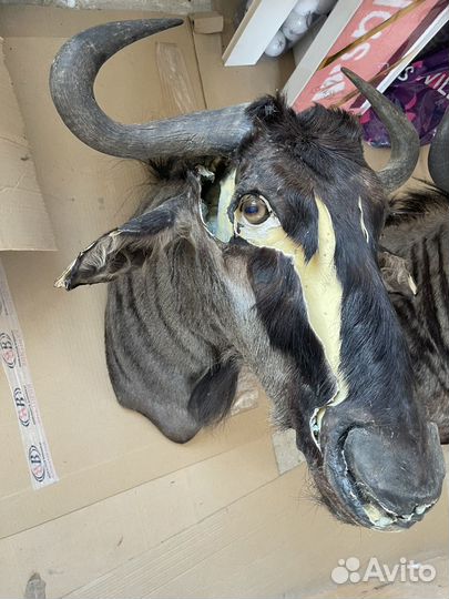 Чучело с дефектами