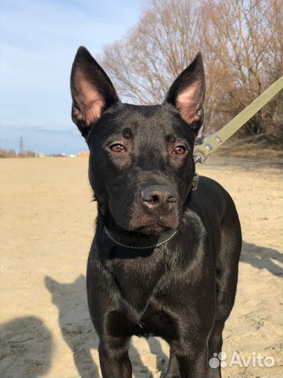 Сигурда выгоняют на улицу