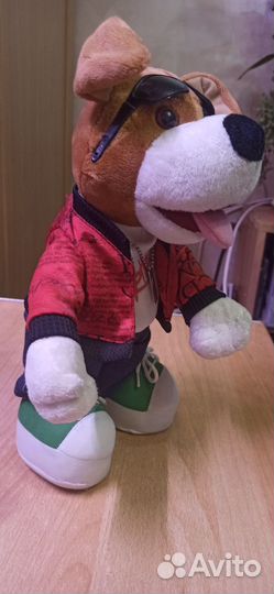 Музыкальная собака репер