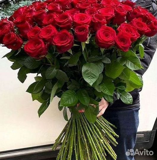 51 Роза, Букеты Цветы Розы 25 101 501 1001