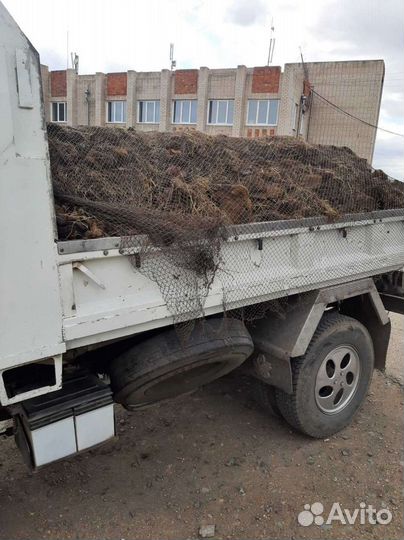 Продажа навоза