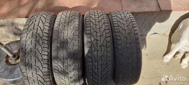 Tigar Winter 185/65 R15