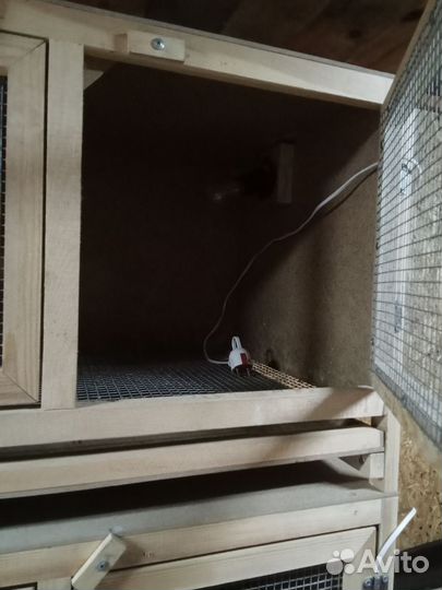 Брудер для цыплят