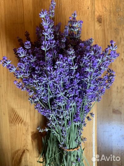 Букет лаванды