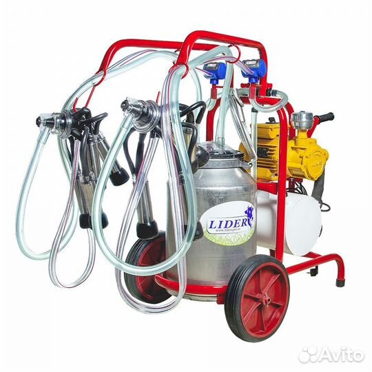 Доильный аппарат Lider (на две коровы)