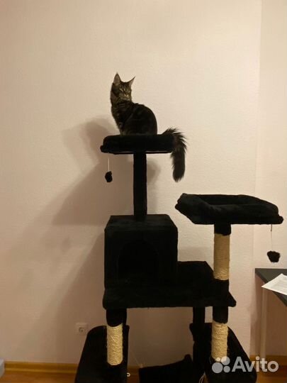 Домик для кошки