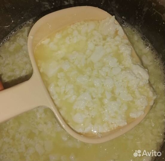 Молоко, яйцо, бройлер