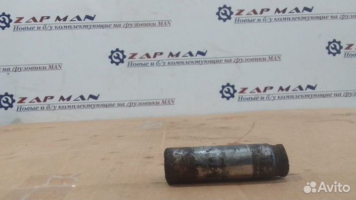Палец тормозной колодки Man Tgs