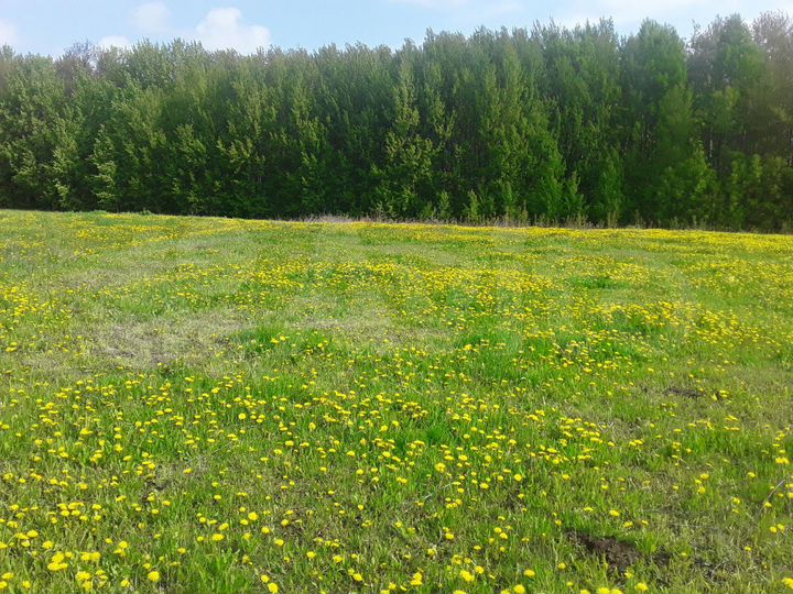 Участок 21 сот. (ИЖС)