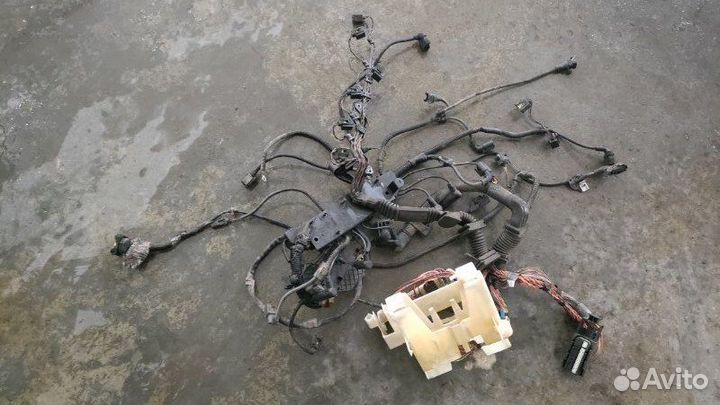 Проводка двигателя Bmw 530 D E61 M57N 306D2EU4