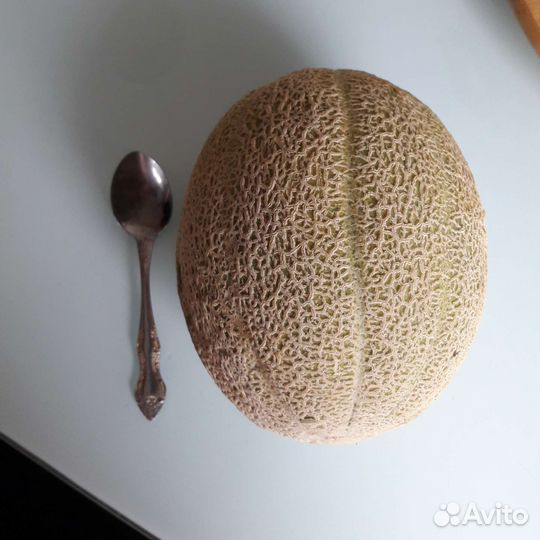 Семена редких овощей и дыни