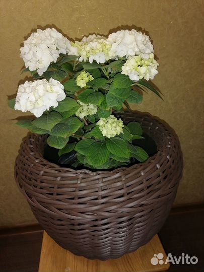 Кашпо из ротанга