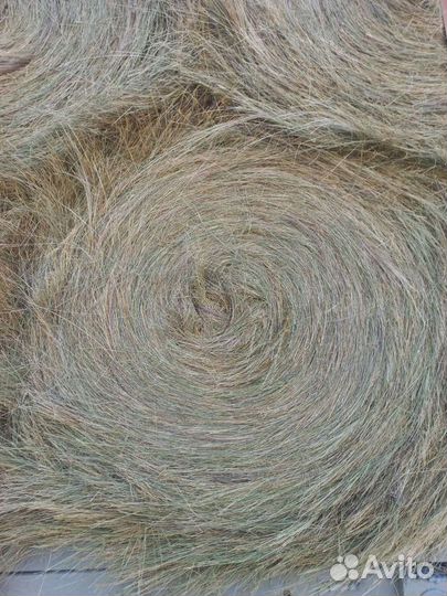 Продам сено первого укоса